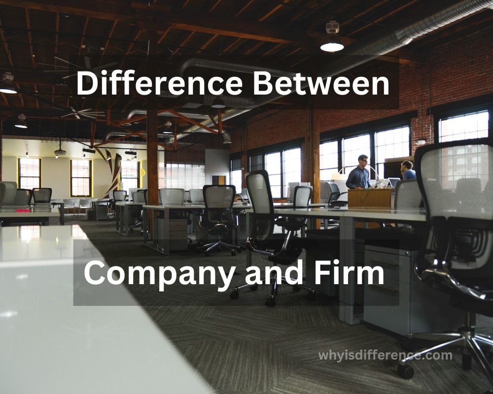 Difference Between Company and Firm