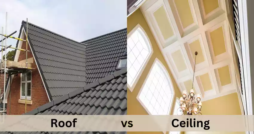 Between Roof vs Ceiling What Is The Difference