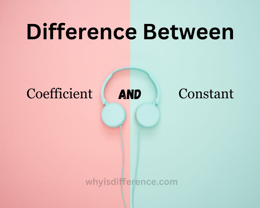 Difference Between Coefficient and Constant