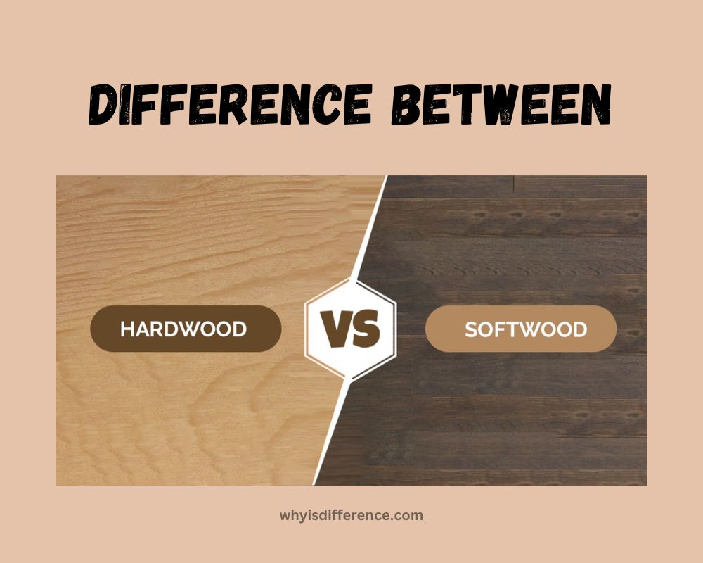 Difference Between Hardwood and Softwood