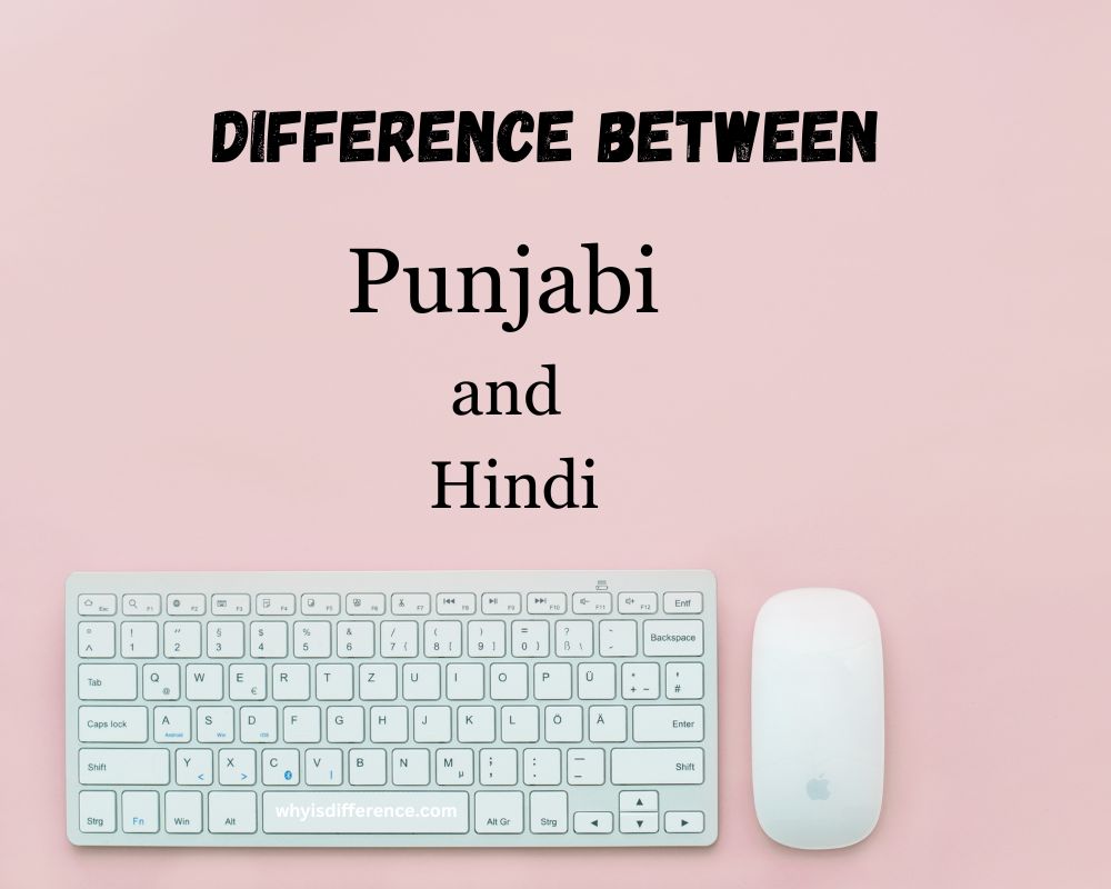 Difference Between Punjabi and Hindi