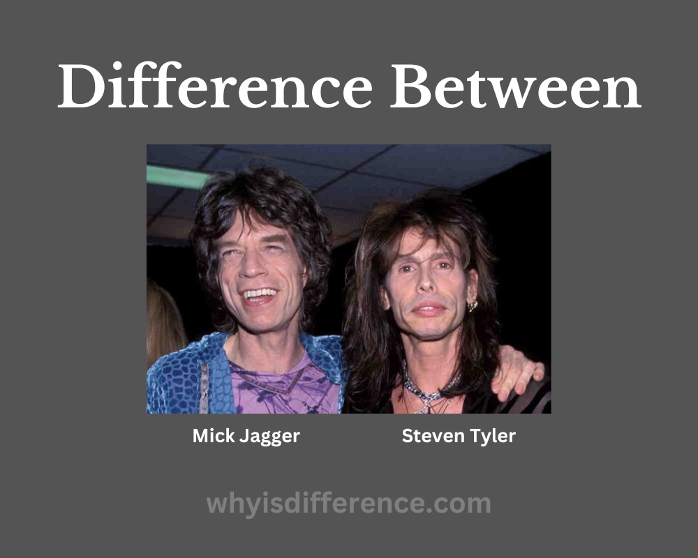 Difference Between Steven Tyler and Mick Jagger