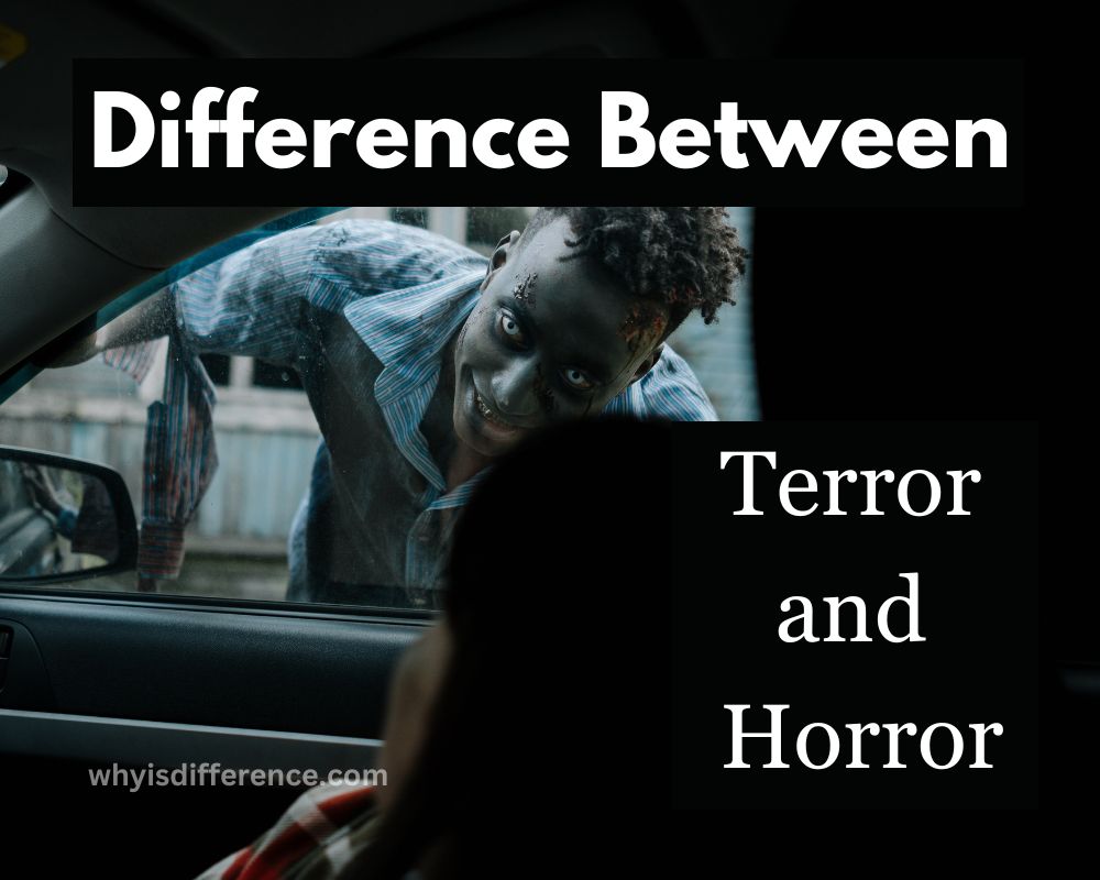 Difference Between Terror and Horror