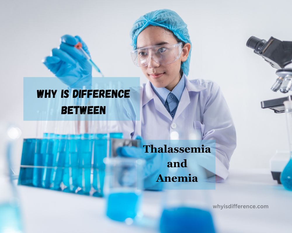 Difference Between Thalassemia and Anemia