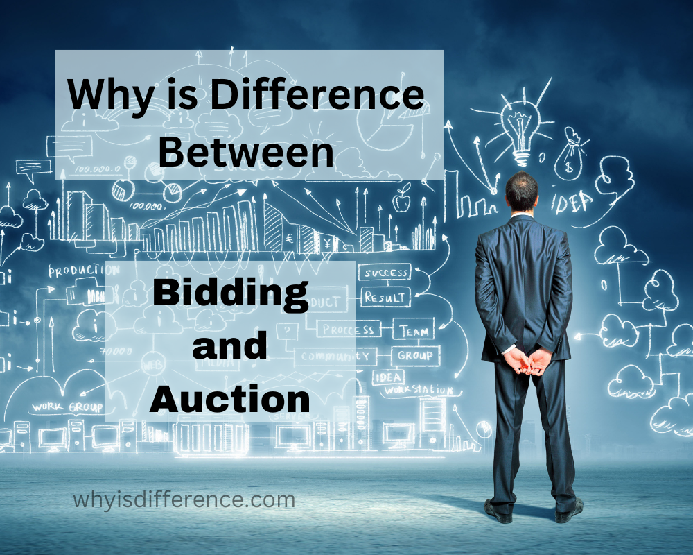 Why is Difference Between Bidding and Auction