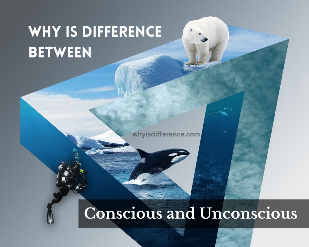 Why is Difference Between Conscious and Unconscious