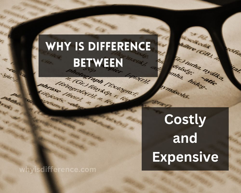 Why is Difference Between Costly and Expensive