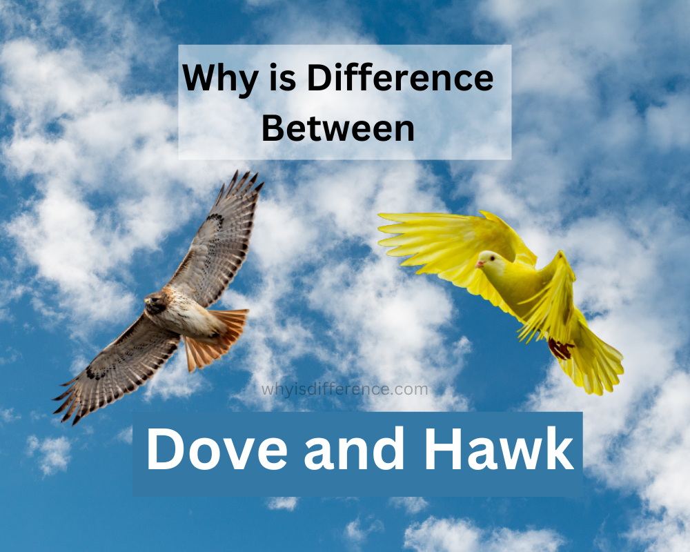 Why is Difference Between Dove and Hawk