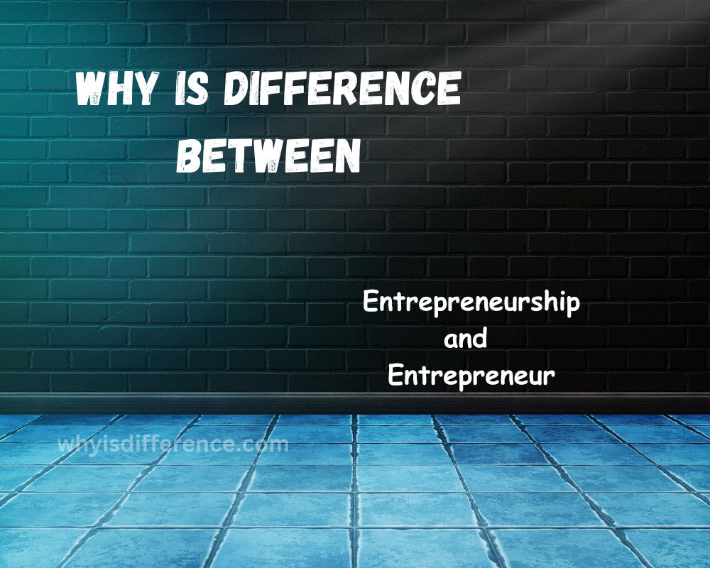 Why is Difference Between Entrepreneurship and Entrepreneur