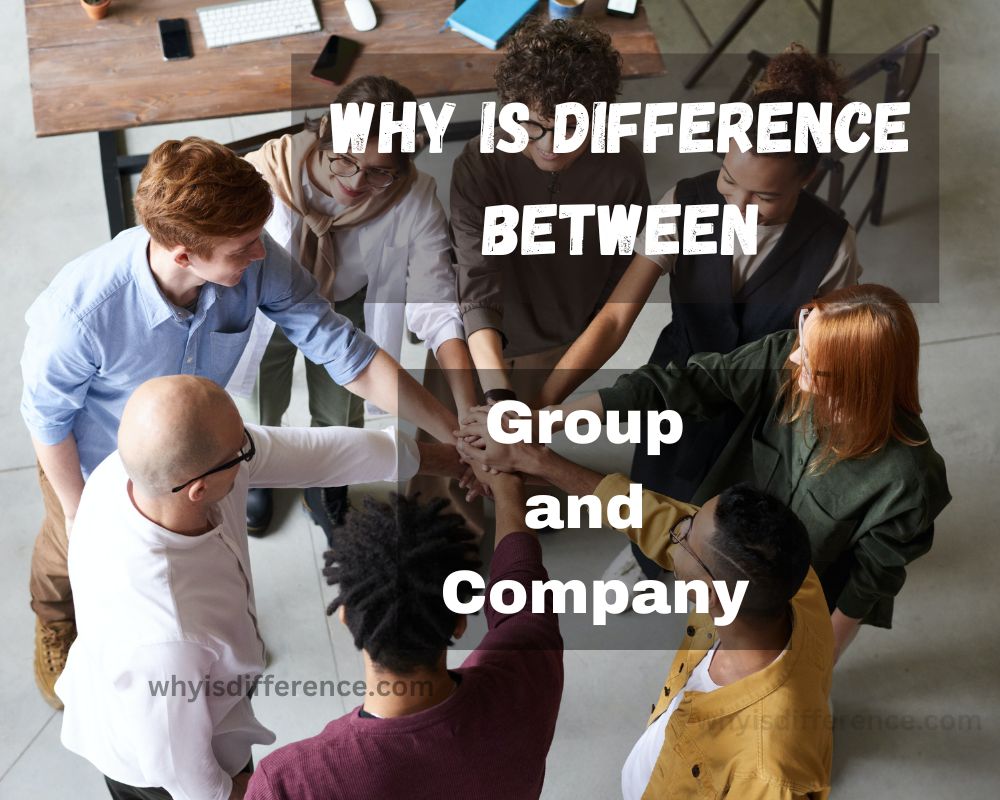 Why is Difference Between Group and Company