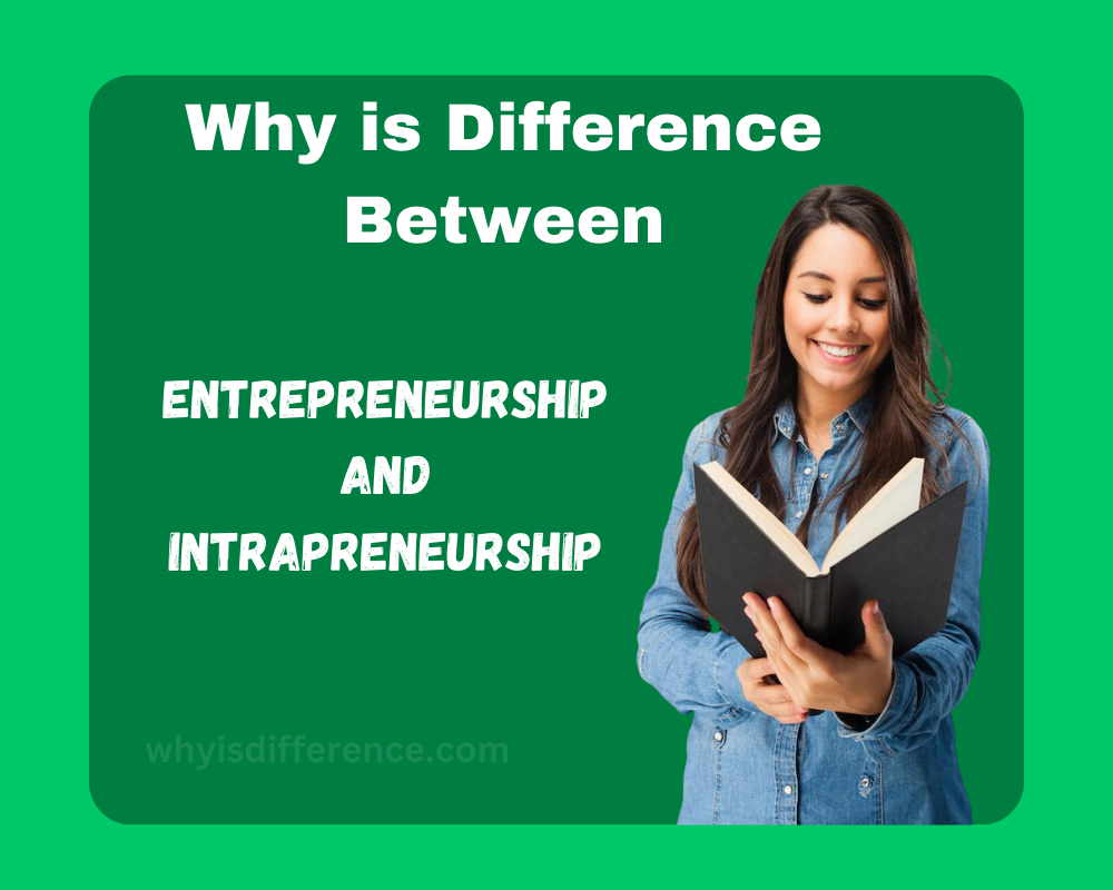 Difference Between Entrepreneurship and Intrapreneurship