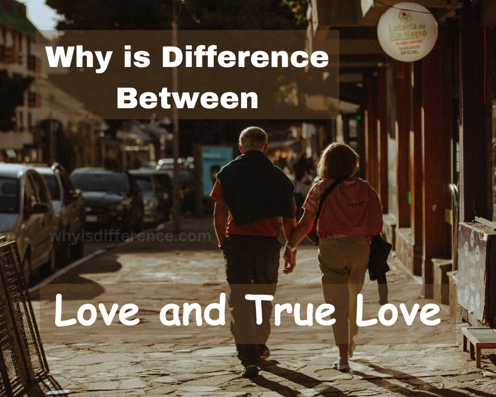 Why is Difference Between Love and True Love
