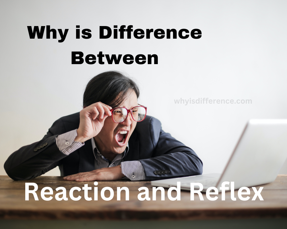 Why is Difference Between Reaction and Reflex