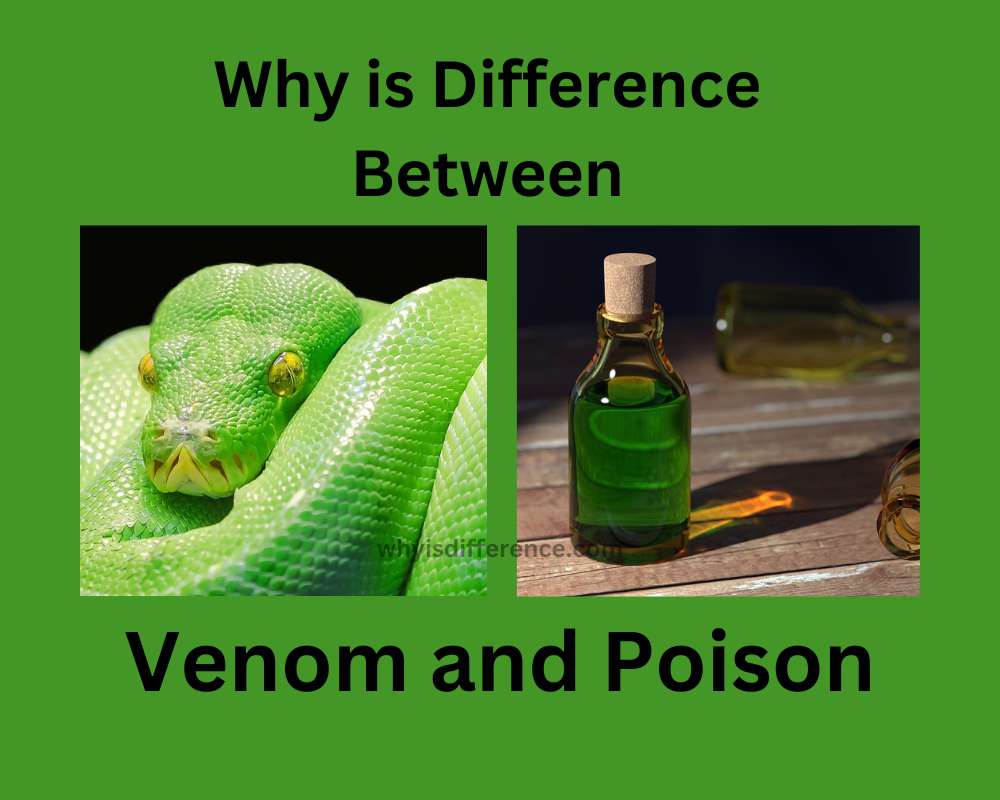Why is Difference Between Venom and Poison