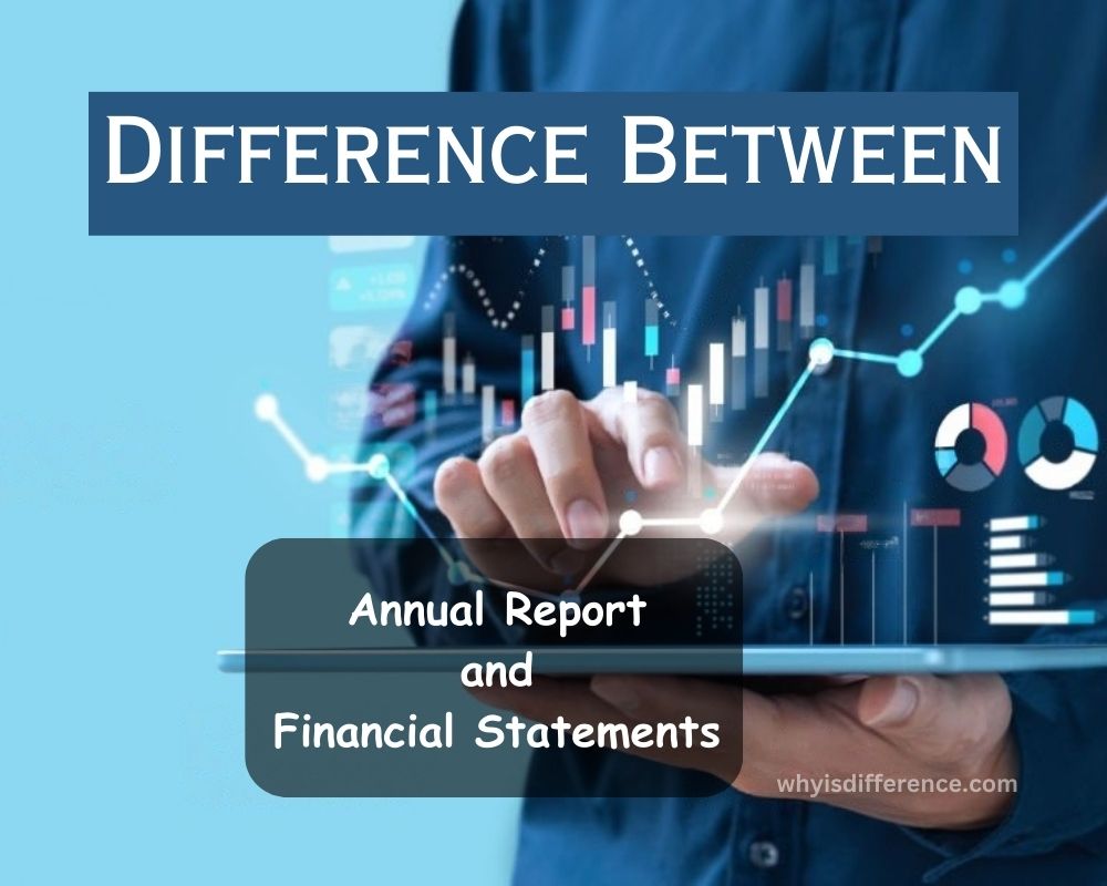 Difference Between Annual Report and Financial Statements