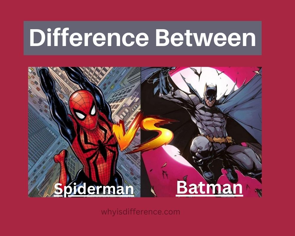 Difference Between Batman and Spiderman