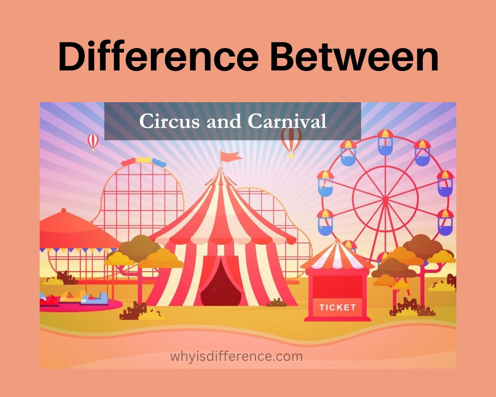 Difference Between Circus and Carnival