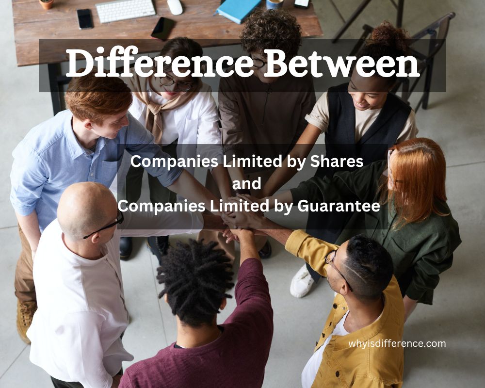 Difference Between Companies Limited by Shares and Companies Limited by Guarantee