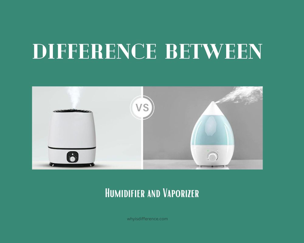 Difference Between Humidifier and Vaporizer