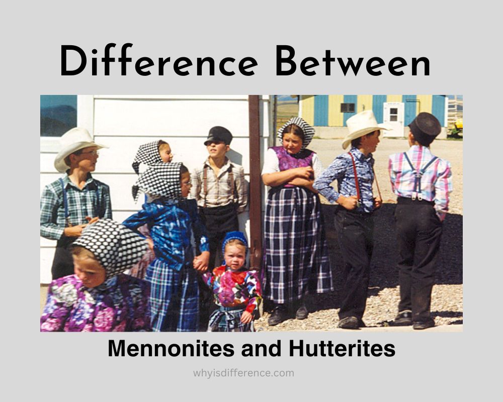 Difference Between Mennonites and Hutterites