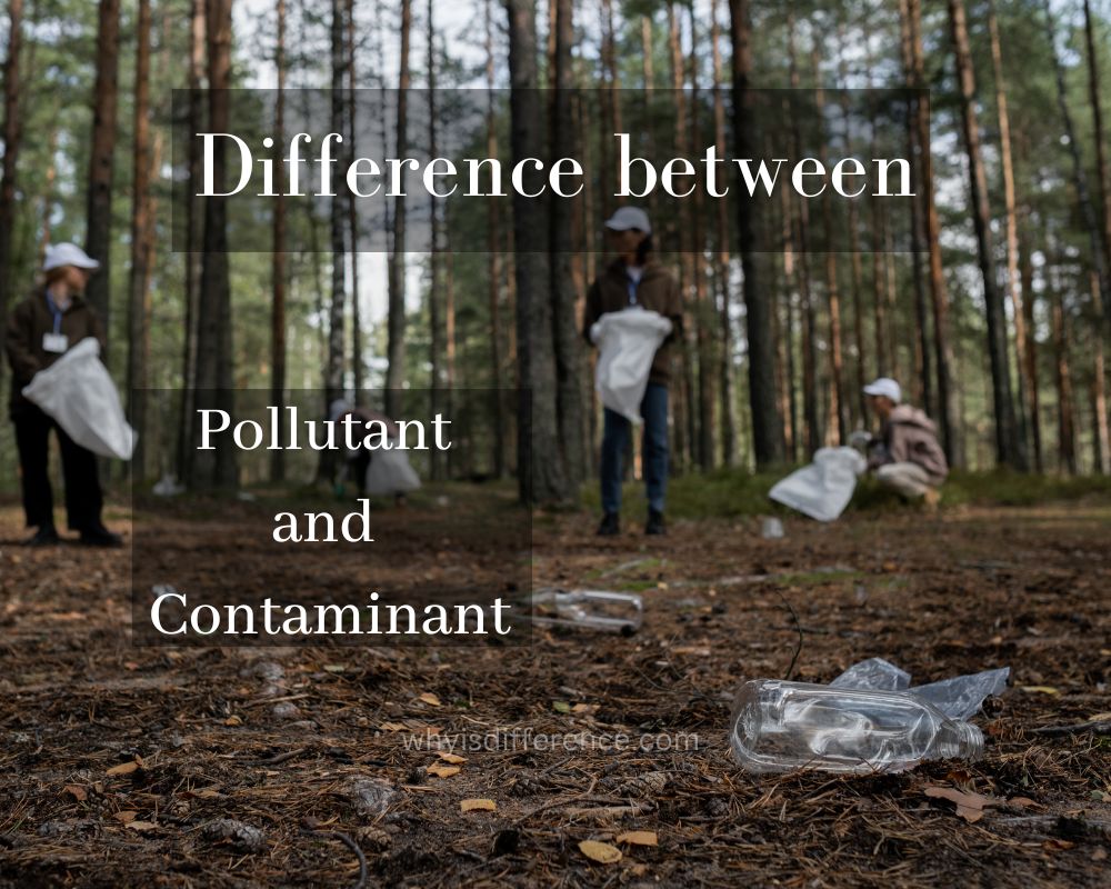 Difference Between Pollutant and Contaminant
