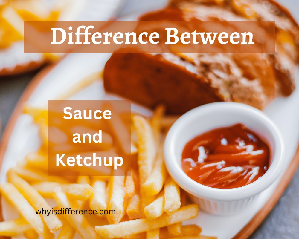 Difference Between Sauce and Ketchup