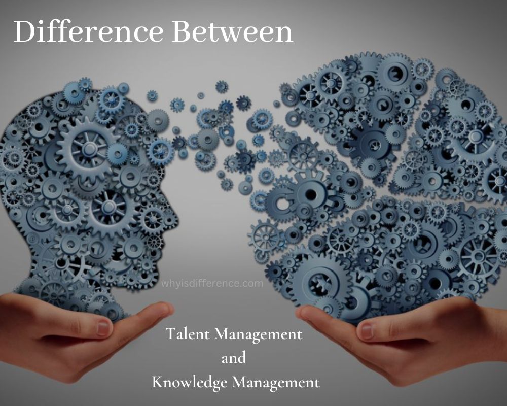 Difference Between Talent Management and Knowledge Management