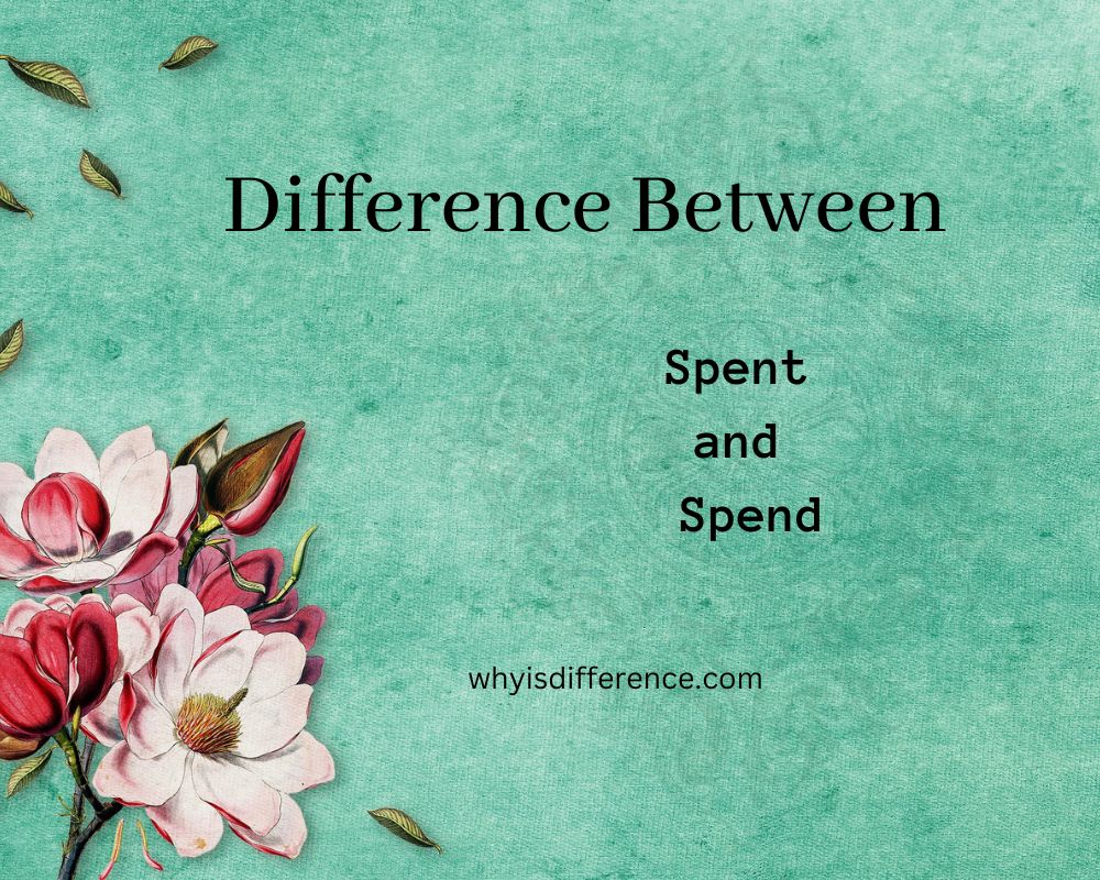 Difference Between spent and spend