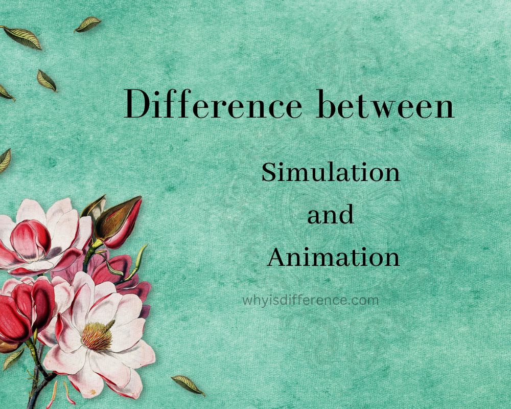 Difference between Simulation and Animation