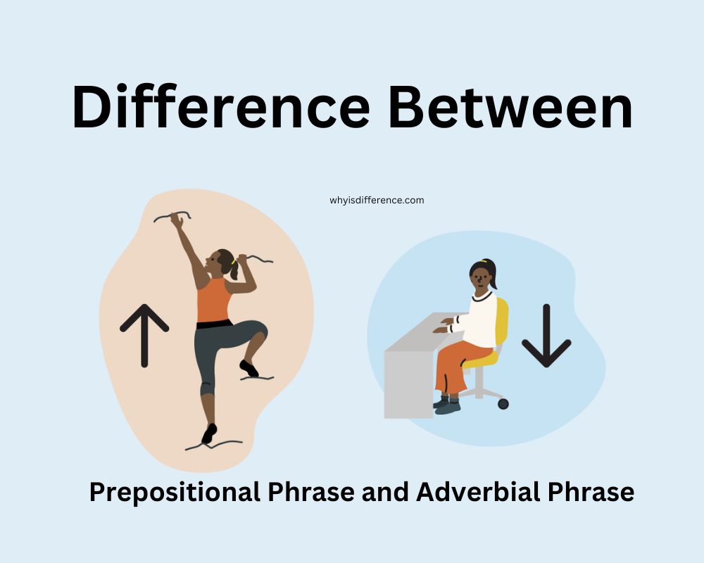 Difference Between Prepositional Phrase and Adverbial Phrase