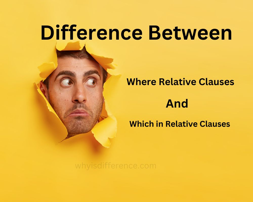 Difference Between Where and Which in Relative Clauses