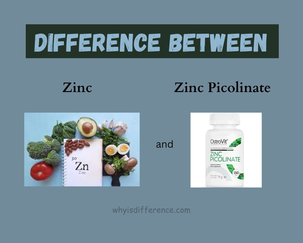 Difference Between Zinc and Zinc Picolinate
