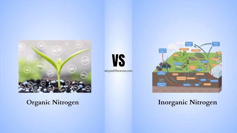 Difference Between Organic and Inorganic Nitrogen