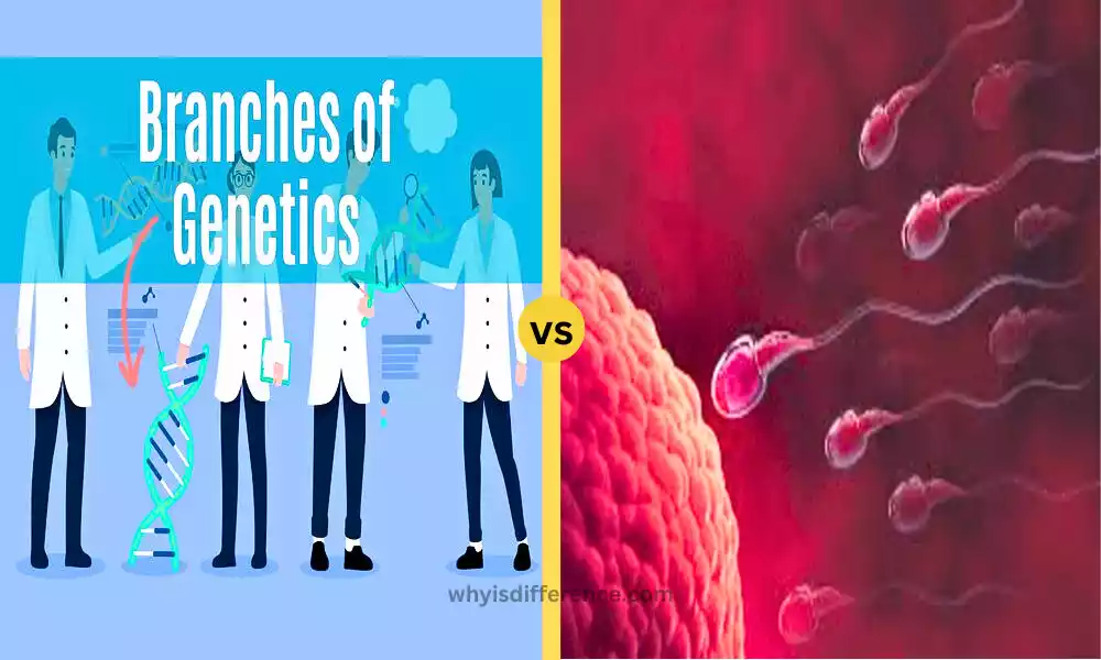Genetics and Embryology