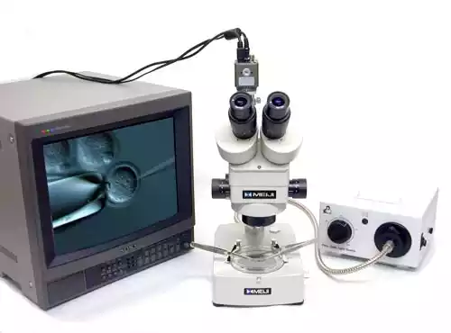 Microscopy of Embryology