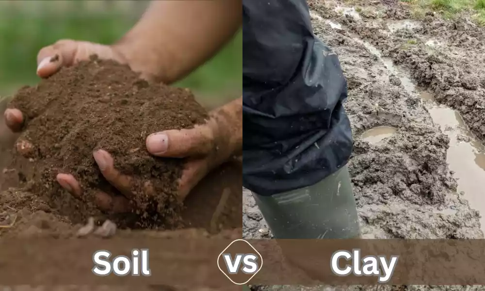 Soil and Clay