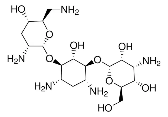 Tobramycin