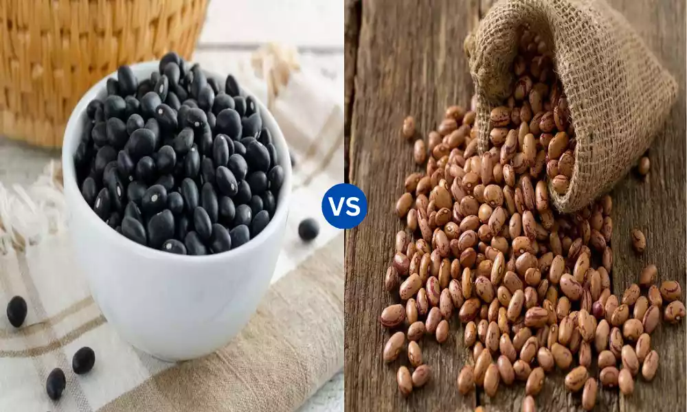 Black Beans vs Pinto Beans