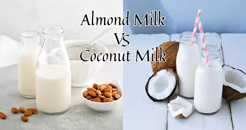 Why is the Difference Between Almond Milk and Coconut Milk