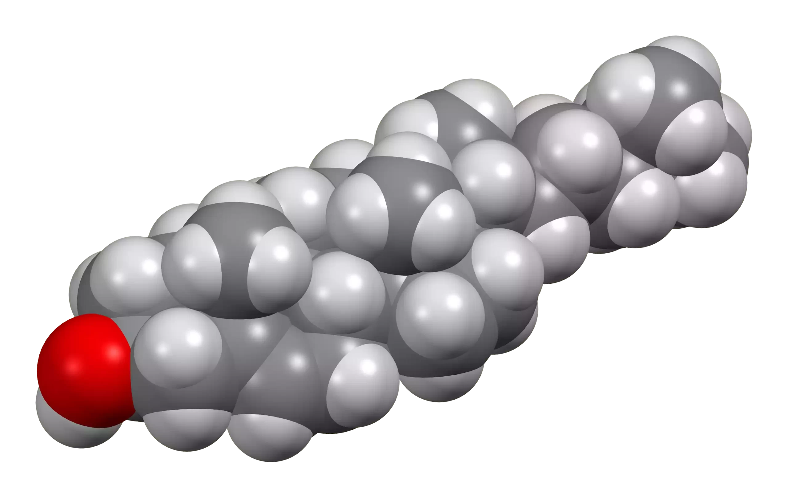 Cholesterol