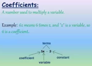 Coefficient