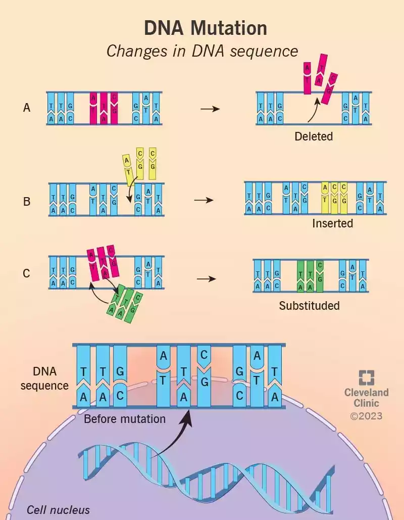 Genetic mutations