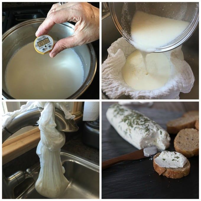 How Goat Cheese is Made