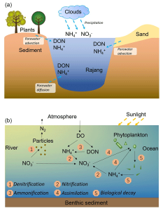 Inorganic Nitrogen