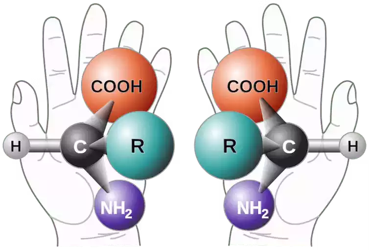 Left-Handed Amino Acids