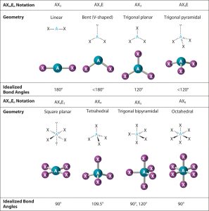 Molecular Geometry