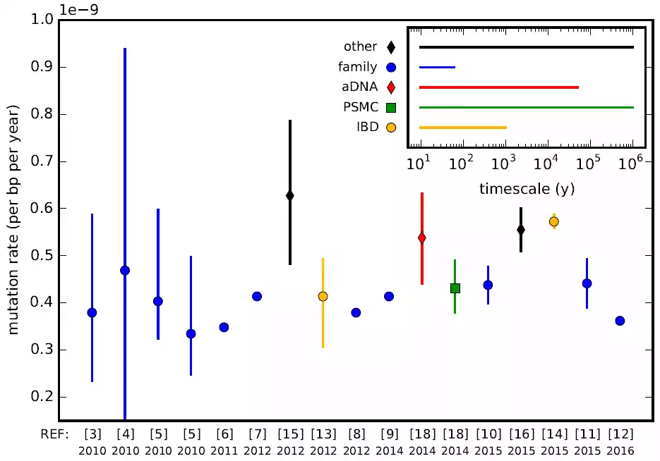 Mutation Rate