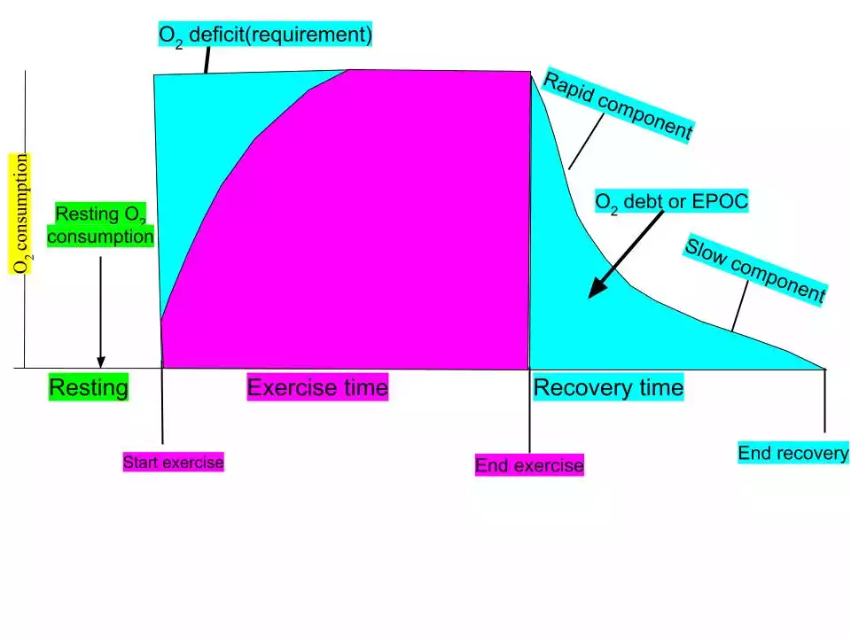 Oxygen Deficit