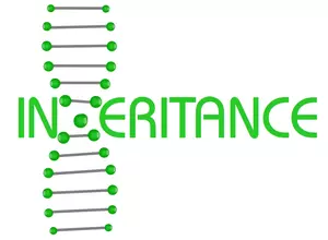 inheritance